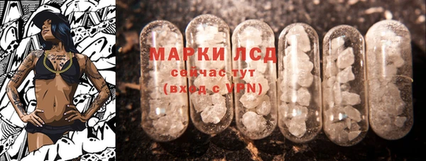 мяу мяу мука Беломорск