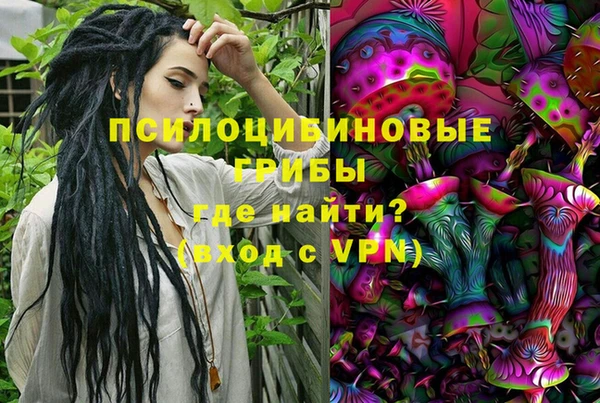 прущий лед Белокуриха