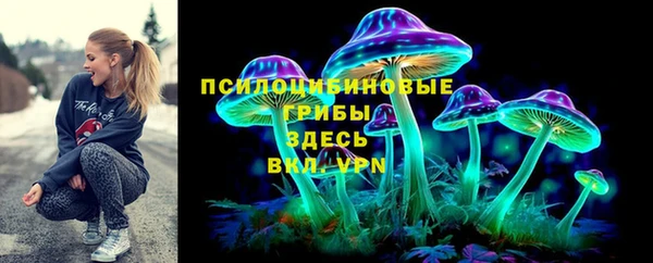 прущий лед Белокуриха
