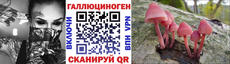 Псилоцибиновые грибы Cubensis Володарск